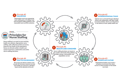 ANA Principles for Nurse Staffing, 3rd Edition